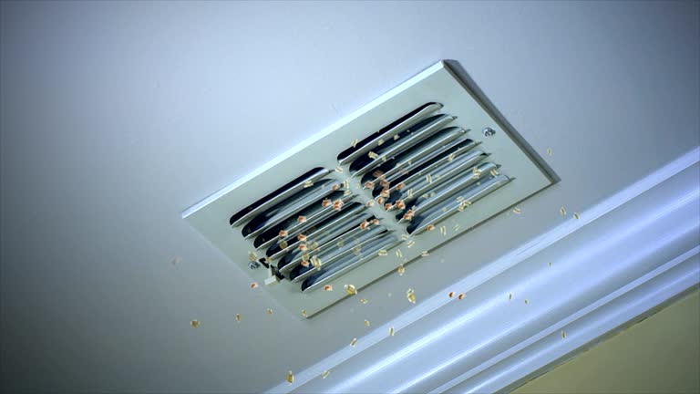 Best Best Air Duct Cleaning Company  in Woodstock, AL